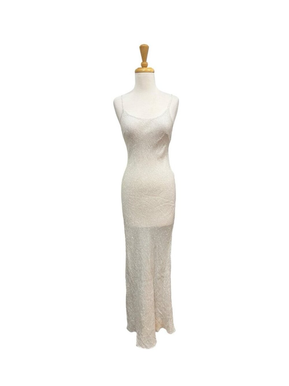 Rumored Mirage Slip Maxi Dress Size Xs White and Silver Sheer Cover Up